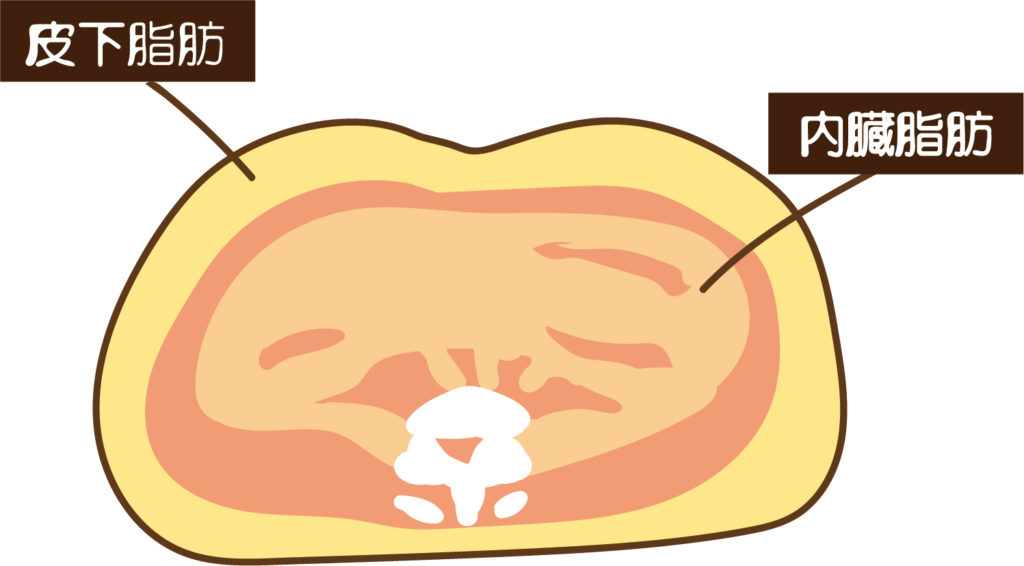 腹をへこます！体幹インナーマッスルトレーニング・プランクとサイドピラー えいじろん。